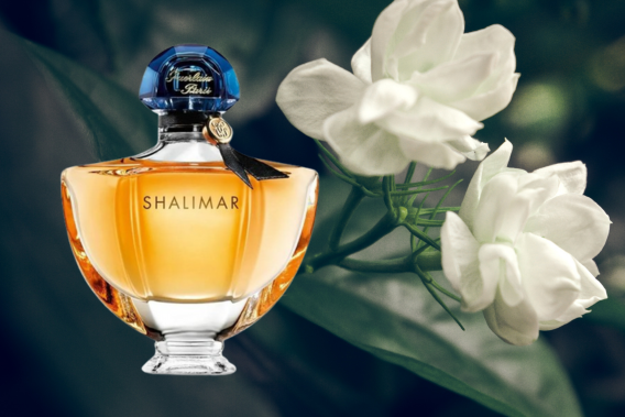 The Best Jasmine Perfumes of All Time