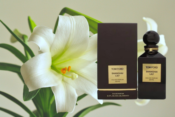 The Best Lily Perfume: Top Picks for a Delicate and Elegant Fragrance